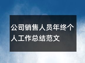 公司銷售人員年終個(gè)人工作總結(jié)范文