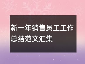新一年銷售員工工作總結(jié)范文匯集