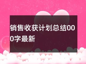 銷售收獲計(jì)劃總結(jié)000字最新