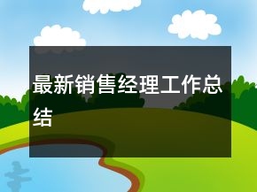 最新銷售經(jīng)理工作總結(jié)