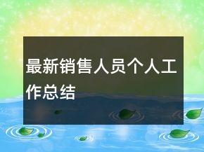 最新銷售人員個人工作總結