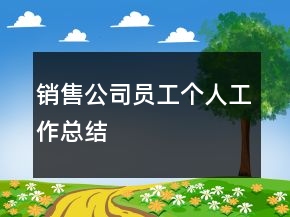 銷售公司員工個(gè)人工作總結(jié)