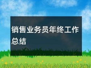 銷售業(yè)務(wù)員年終工作總結(jié)