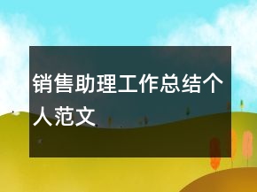 銷售助理工作總結(jié)個人范文