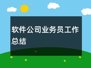 軟件公司業(yè)務(wù)員工作總結(jié)