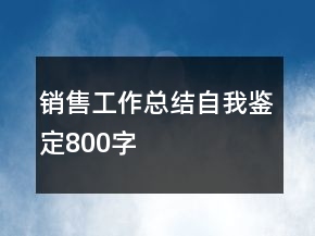 銷(xiāo)售工作總結(jié)自我鑒定800字