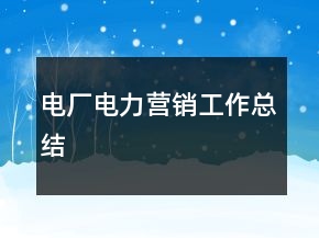 電廠電力營銷工作總結(jié)