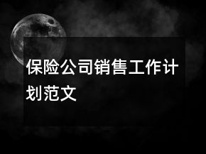 保險(xiǎn)公司銷售工作計(jì)劃范文