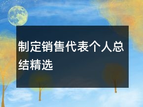 制定銷售代表個人總結(jié)精選
