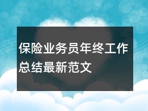 保險業(yè)務(wù)員年終工作總結(jié)最新范文