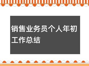 銷售業(yè)務(wù)員個(gè)人年初工作總結(jié)