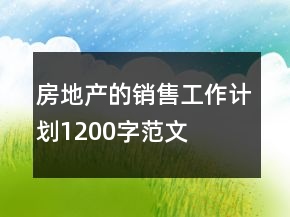 房地產(chǎn)的銷(xiāo)售工作計(jì)劃1200字范文
