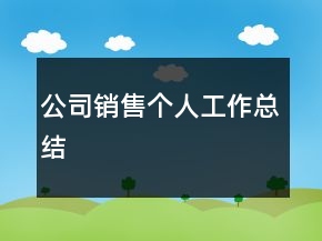 公司銷售個人工作總結(jié)