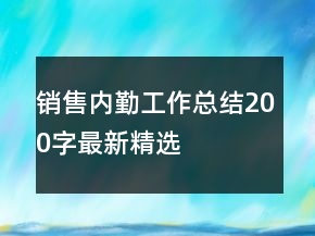 銷售內(nèi)勤工作總結(jié)200字最新精選