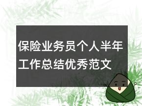 保險(xiǎn)業(yè)務(wù)員個(gè)人半年工作總結(jié)優(yōu)秀范文