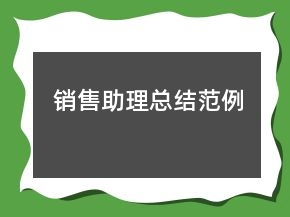 銷售助理總結(jié)范例