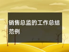 銷售總監(jiān)的工作總結(jié)范例
