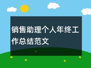 銷售助理個(gè)人年終工作總結(jié)范文