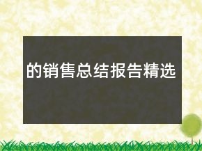 的銷售總結(jié)報(bào)告精選