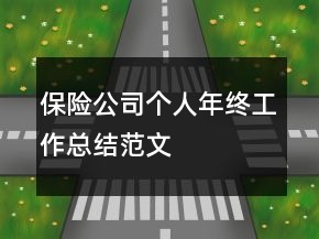 保險公司個人年終工作總結(jié)范文