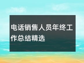 電話銷售人員年終工作總結(jié)精選