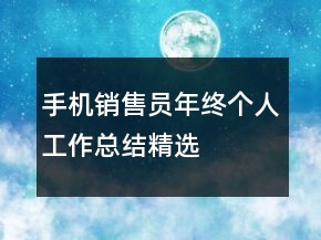 手機(jī)銷售員年終個(gè)人工作總結(jié)精選