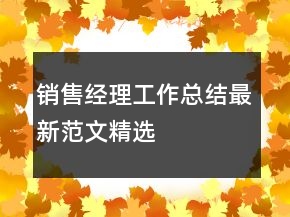 銷售經(jīng)理工作總結最新范文精選