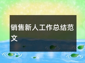 銷售新人工作總結(jié)范文