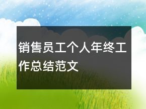 銷(xiāo)售員工個(gè)人年終工作總結(jié)范文
