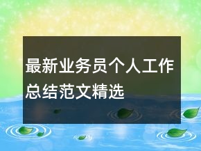 最新業(yè)務(wù)員個人工作總結(jié)范文精選