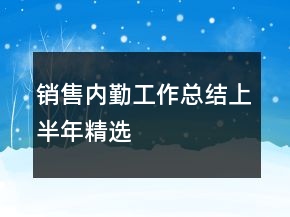 銷售內(nèi)勤工作總結上半年精選