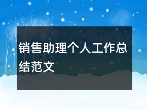 銷售助理個人工作總結(jié)范文