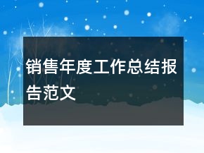 銷(xiāo)售年度工作總結(jié)報(bào)告范文