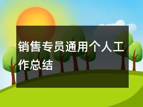 銷售專員通用個人工作總結(jié)