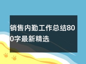 銷售內(nèi)勤工作總結(jié)800字最新精選