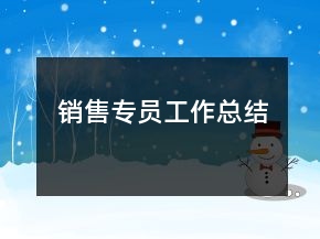 銷(xiāo)售專(zhuān)員工作總結(jié)