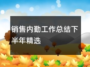 銷售內(nèi)勤工作總結下半年精選