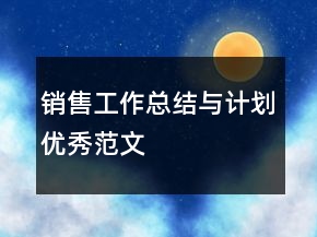 銷售工作總結(jié)與計劃優(yōu)秀范文