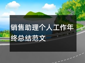 銷售助理個(gè)人工作年終總結(jié)范文