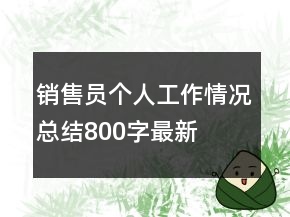銷售員個(gè)人工作情況總結(jié)800字最新
