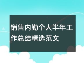 銷售內(nèi)勤個(gè)人半年工作總結(jié)精選范文