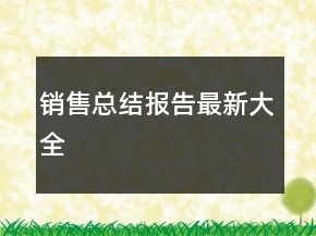 銷售總結(jié)報(bào)告最新大全