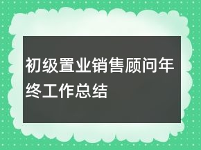 初級置業(yè)銷售顧問年終工作總結(jié)