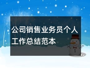 公司銷售業(yè)務員個人工作總結范本