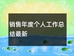 銷售年度個人工作總結最新