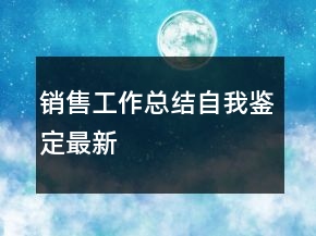 銷售工作總結(jié)自我鑒定最新