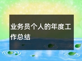 業(yè)務(wù)員個(gè)人的年度工作總結(jié)