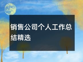 銷售公司個人工作總結(jié)精選