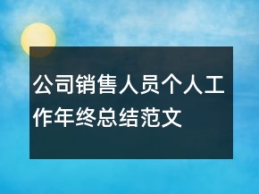 公司銷售人員個(gè)人工作年終總結(jié)范文