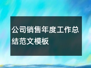 公司銷售年度工作總結(jié)范文模板